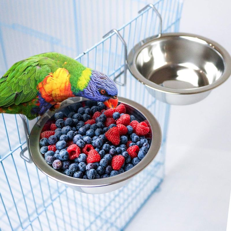 Photo 1 of 6 Pack Bird Feeder Birds Bowls Stainless Steel Dishes Coop Cups with Wire Hook, Parrot Feeding Dish Cups Food Water Bowls with Bird Food Holder and Rattan Ball for Finches Lovebirds