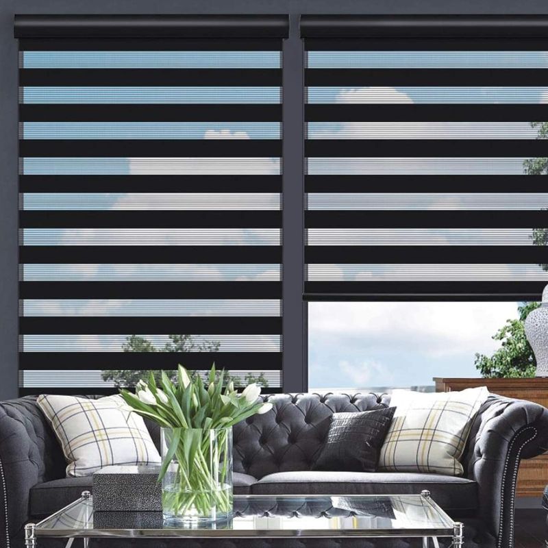 Photo 1 of Changshade Cordless Zebra Roller Shade with Valance, Double Layered Window Blind for Day and Night, Light Filtering Window Treatment with Mesh and Opaque Fabric, 29 inches Wide, Black RBS29BK72A