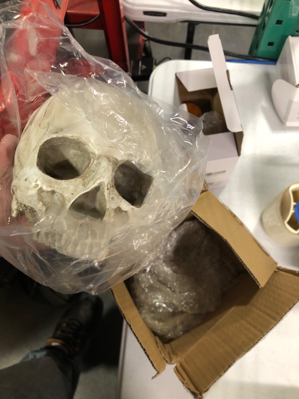 Photo 3 of **New Open**MagiDeal Lifesize 1:1 Human Skull Replica Resin Model Anatomical Medical Skeleton