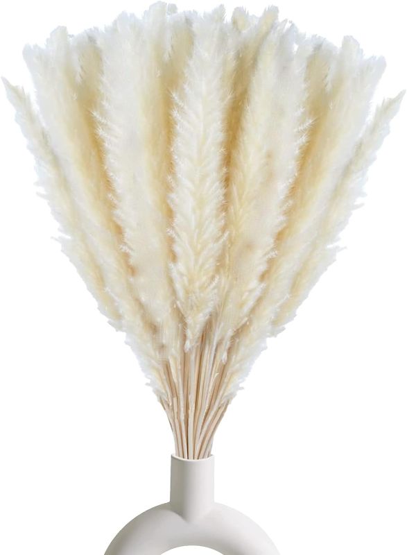 Photo 1 of 30 Pcs White Pampas Grass ,17 inch/45 cm Natural Dried Pampas Grass Branches Decor for Home Kitchen Garden Party Photographing Flower Arrangement Vase Decor?White
FACTORY SEALED