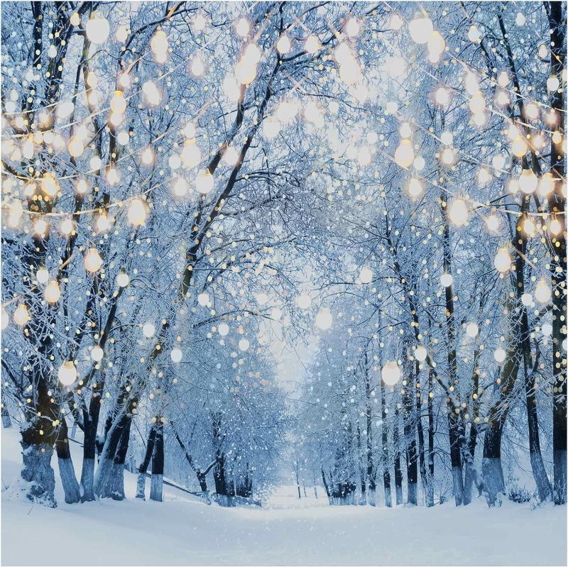 Photo 1 of Allenjoy 6 x 6 FT Winter Forest Backdrop Wonderland Snowflake Photography Background Bokeh Glitter Snow Scene Christmas Party Decoration Tree Landscape Portrait for Photobooth Photo Studio 72 x 72 in