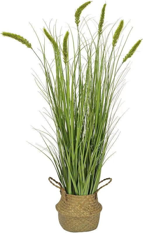 Photo 1 of 
Limited-time deal: Ttranewsoo Artificial Tall Grass Plants with Pots 47" 1 Pack,Captivating Artificial Faux Tall Pampas Grass, Ideal for Home Decor and Plant Room Ambiance, Ultimate Indoor Plant Solution https://a.co/d/1jk26wJ