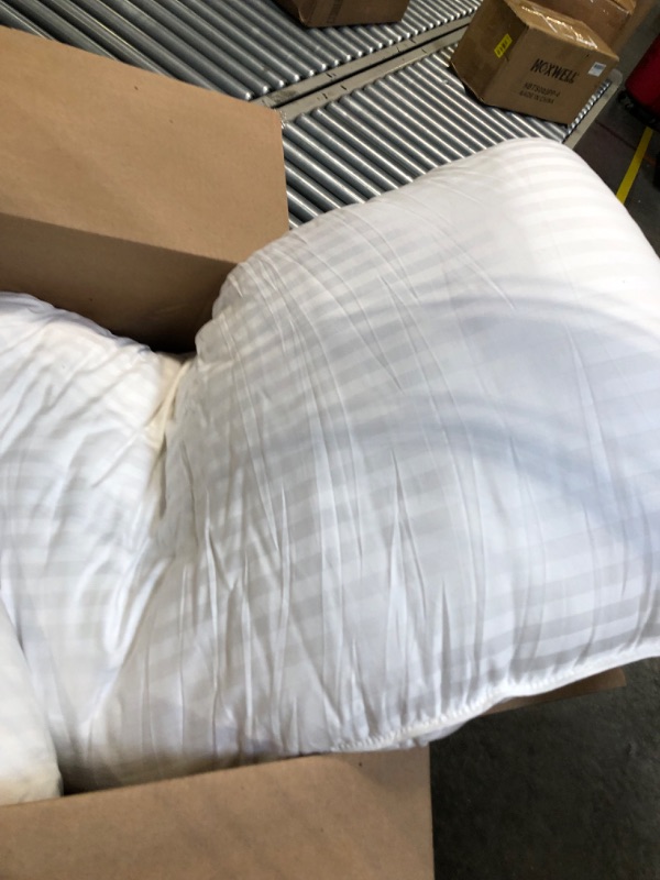 Photo 1 of 2 LARGE WHITE PILLOWS