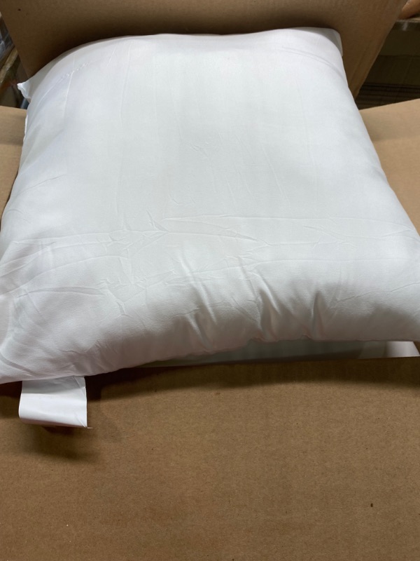Photo 1 of 16x16 Throw pillows inserts