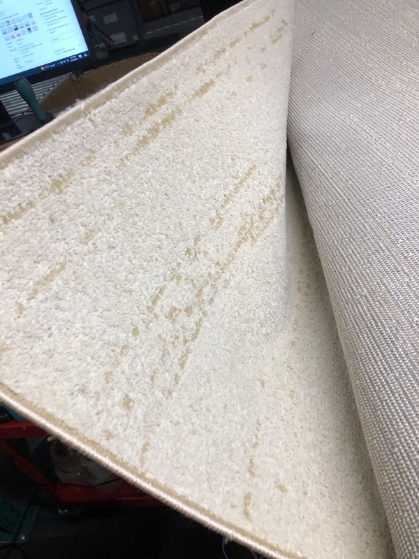 Photo 2 of ***USED - DIRTY - NO PACKAGING***
SAFAVIEH Adirondack Collection X-Large Area Rug - 12' x 18', Champagne & Cream, Modern Ombre Design, Non-Shedding & Easy Care, Ideal for High Traffic Areas in Living Room, Bedroom (ADR113W)
