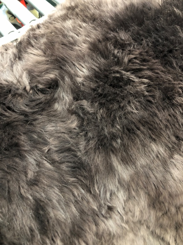 LLB Genuine Sheepskin Area Rug Wool Rug Fur Carpet Fluffy Shaggy Fur ...