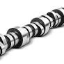 Photo 1 of A-Premium Sloppy Stage 2 Camshaft .585/.585 Hydraulic Roller Engine Camshaft Compatible with GM Chevy Corvette 1997-2004, Camaro 1998-2002 & Pontiac Firebird 1997-2002, GTO 2004, OHV, Replace# E1840P