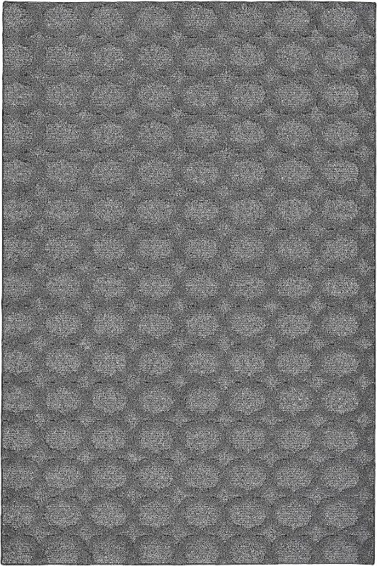 Photo 1 of  Indoor/Outdoor Area Rug Cinder Gray (4 x 6)