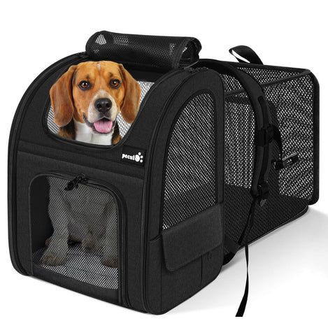 Photo 1 of Pecute XL Size Pet Carrier Backpack Dog Carrier Expandable (Black)