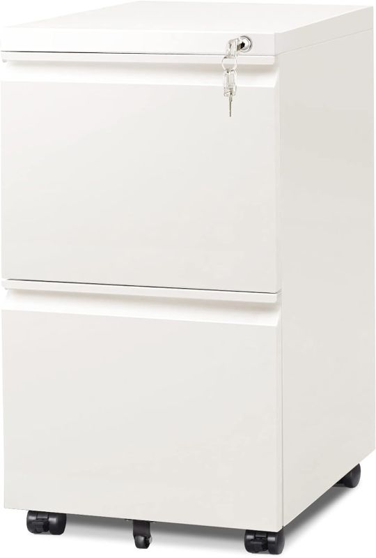 Photo 1 of DEVAISE 2-Drawer Mobile File Cabinet with Lock, Commercial Vertical Cabinet, White
