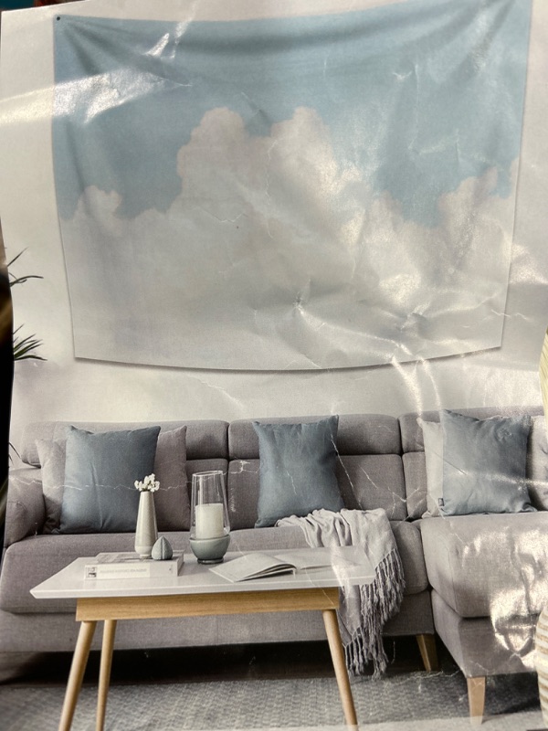 Photo 1 of 180x160 Backdrop