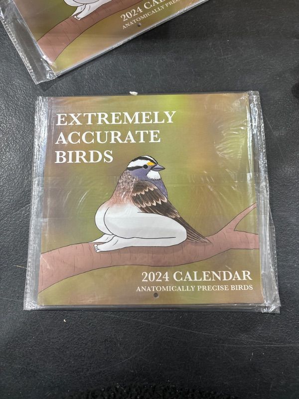 Photo 2 of 2024 Calendar Of Extremely Accurate Birds,2024 Birds Calendar Wall Calendar Jan 2024 - Dec 2024?Funny Birds Calendar Gag Gifts?Wall Art Gag Humor Gift for Friends (Extremely Accurate Birds)