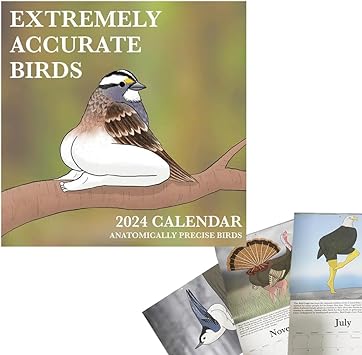 Photo 1 of 2024 Calendar Of Extremely Accurate Birds,2024 Birds Calendar Wall Calendar Jan 2024 - Dec 2024?Funny Birds Calendar Gag Gifts?Wall Art Gag Humor Gift for Friends (Extremely Accurate Birds)