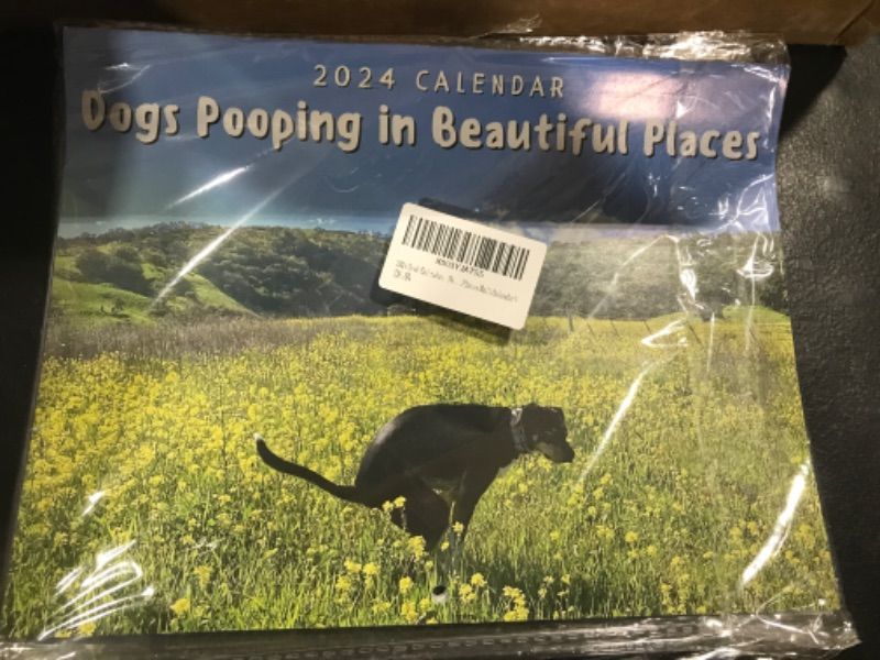 Photo 1 of 2024 CALENDAR DOGS POOPING IN BEAUTIFUL PLACES 