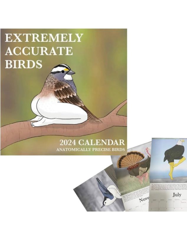 Photo 1 of 2024 Calendar Of Extremely Accurate Birds,2024 Birds Calendar Wall Calendar Jan 2024 - Dec 2024?Funny Birds Calendar Gag Gifts?Wall Art Gag Humor Gift for Friends (Extremely Accurate Birds)