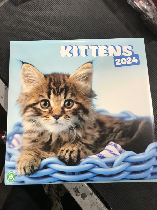 Photo 2 of Cats Wall Calendar 2024 12" x 12" FSC® Plastic Free - Starts Week On Sunday | 12 Month Planner | Square Wall Calendar 2024 | Family Planner Calendar 2024 | Cat Calendar 2024 | Kittens Calendar 2024