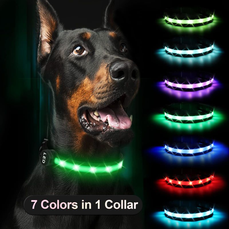 Photo 1 of 7 Colors in 1 Collar, Light Up Dog Collars, RANTOJOY Rechargeable LED Lighted Dog Collar, Glow Safety Necklace Dog Collar, Pet Flashing Collar Dog Cat Night Light Collar Adjustable Comfortable Collar Multi-colored M (Length: 11.5-17.5")