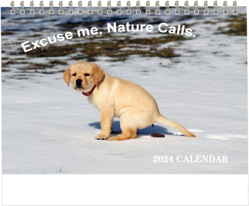 Photo 1 of 2024 Desk Calendar Dog Pooping Calendar 2024?12 Months Desk Calendar (Jan. 2024 - Dec. 2024)?7.5" x 9" ?Funny Calendar White Elephant Gifts

