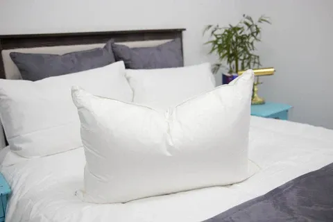 Photo 1 of `White Goose Bed Pillow 