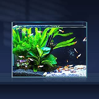 Photo 1 of 3 Gallon Ultra Clear Glass Fish Tank, Rimless Low Iron Aquarium for Betta/Nano/Goldfish/Snail/Shrimp, Small Fish Tank with Fish Net & Cleaning Tools
