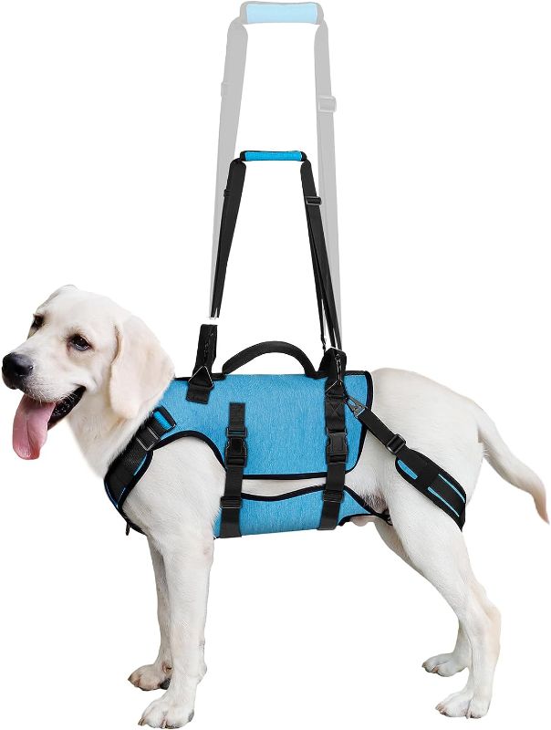 Photo 1 of [Size M] Dog Help Harness- Blue/Black