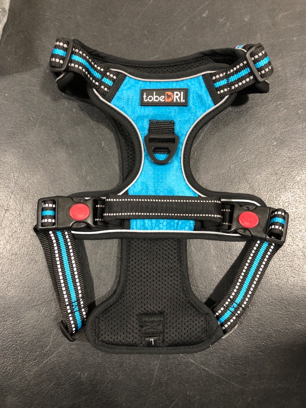 Photo 1 of [Size L] Pet Harness- Blue and Black