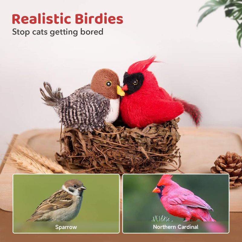 Photo 1 of Cat Toys Chirping Birds 2 Pcs with Catnip SilverVine, Interactive Cat Kicker, Lifelike Birdie Tweets, Indoor Kitty Kitten Exercise Toys 4.0"