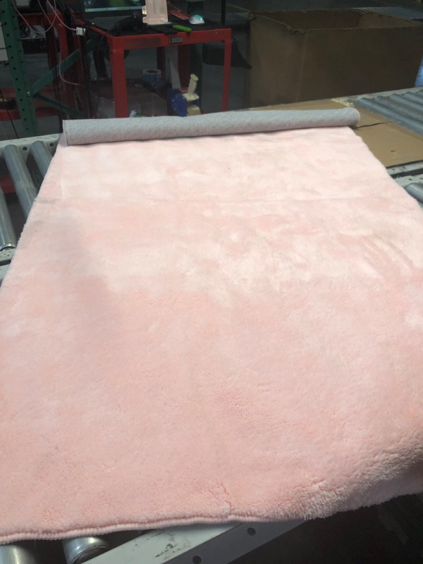 Photo 1 of BABY PINK RUG