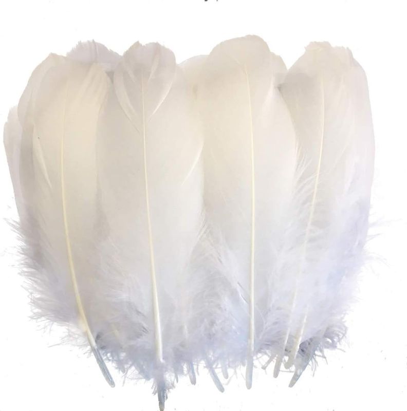 Photo 1 of **2 PACK** Sowder Natural Goose Feathers Clothing Accessories Pack of 100(White Golden Edge)