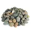 Photo 1 of .25 cu. ft. 1/2 in. to 1 in. Mixed Mexican Beach Pebbles Smooth Round Rock for Gardens, Landscapes and Ponds