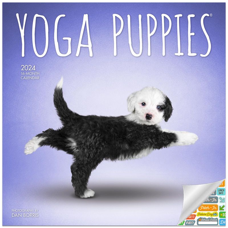 Photo 1 of 2 PACK Yoga Puppies Calendar 2024 - Deluxe 2024 Yoga Puppies Wall Calendar Bundle with Over 100 Calendar Stickers (Yoga Puppies Gifts, Office Supplies)