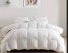 Photo 1 of  Lightweight All Season Feathers Down Comforter (106X96In)