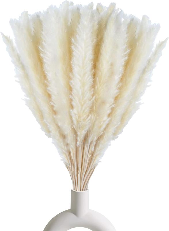 Photo 1 of 30 Pcs White Pampas Grass ,17 inch/45 cm Natural Dried Pampas Grass Branches Decor for Home Kitchen Garden Party Photographing Flower Arrangement Vase Decor?White