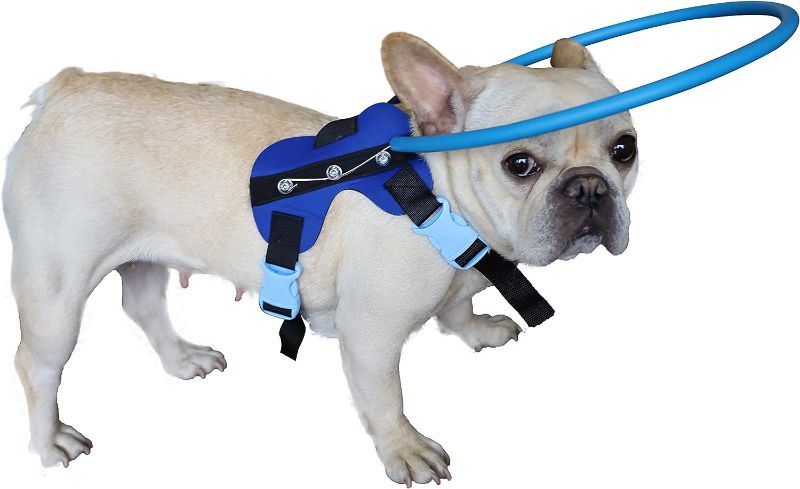 Photo 1 of HQSLC Blind Dog Harness Guiding Device,Blind Dog Halo,Pet Anti-Collision Ring for Protective&Build Confidence,Blind Dog Accessories (M)