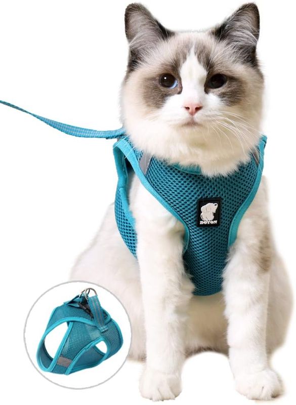 Photo 1 of FDOYLCLC Cat Harness and Leash Set for Walking Escape Proof, Step-in Easy Control Outdoor Jacket, Adjustable Reflective Breathable Soft Air Mesh Vest for Small, Medium, Large Kitten (Turquoise, L)
