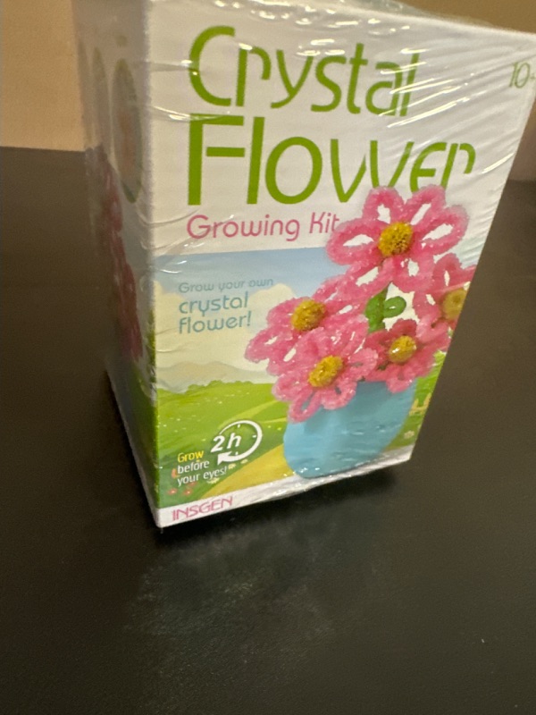 Photo 2 of  Glass Flower Growing Kit for Kids and Adults, Science Experiment Kits for Kids