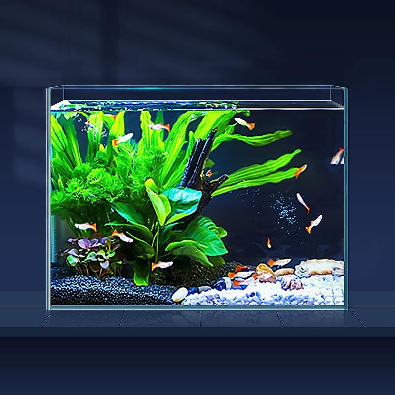 Photo 1 of 3 Gallon Ultra Clear Glass Fish Tank, Rimless Low Iron Aquarium for Betta/Nano/Goldfish/Snail/Shrimp, Small Fish Tank with Fish Net & Cleaning Tools