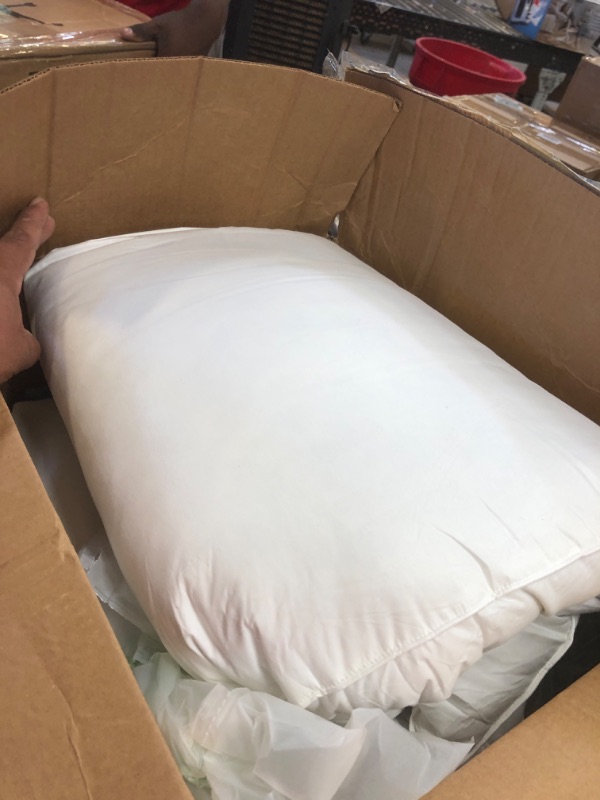 Photo 1 of 2pcs of Medium soft pillows 