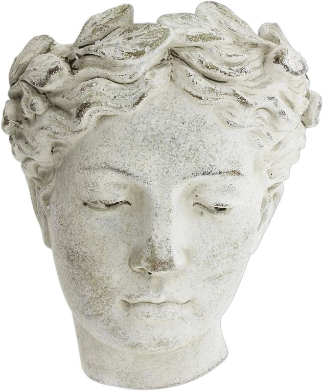 Photo 1 of Distinctive Designs Wall-Mounted Greek/Roman Style Female Statue Head Cement Planter, 8"