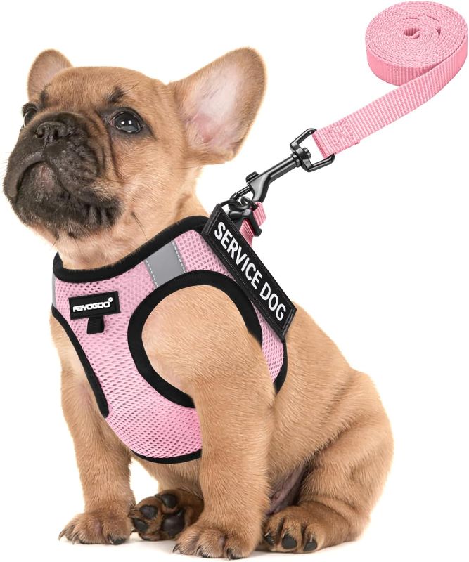 Photo 1 of FAYOGOO Service Dog Vest for Small and Medium Breed - Lightweight Dog Harness with 6PCS Removable Patches - Puppy Harness and Leash Set for Walking,Training
