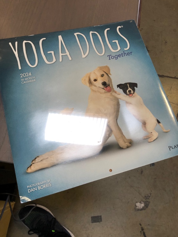 Photo 2 of Yoga Dogs Together Calendar 2024 - Deluxe 2024 Yoga Dogs Wall Calendar Bundle with Over 100 Calendar Stickers (Yoga Dogs Gifts, Office Supplies)