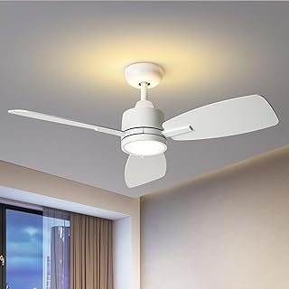 Photo 1 of ceiling fans