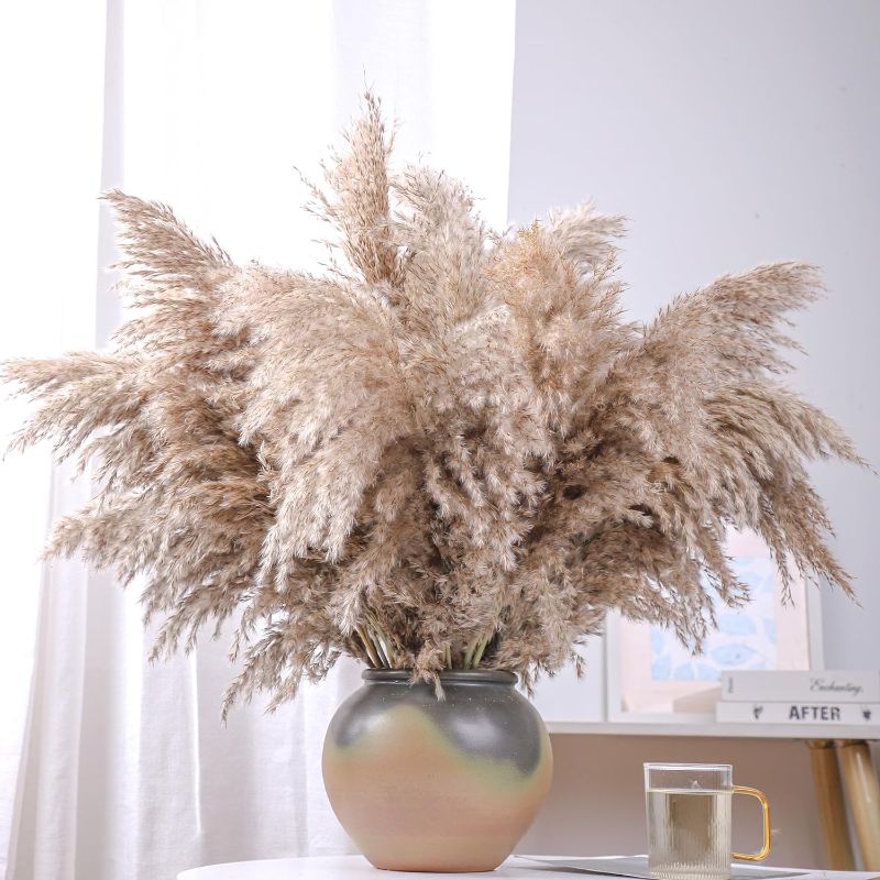 Photo 1 of 28" inch 20 Stems Brown Pampas Grass Decor Tall - Natural Fluffy Pompas Grass Bulk Tall Pampas Grass for Floor Vase - Boho Decor Home Decor Wedding Decor Event Decor?Gift
