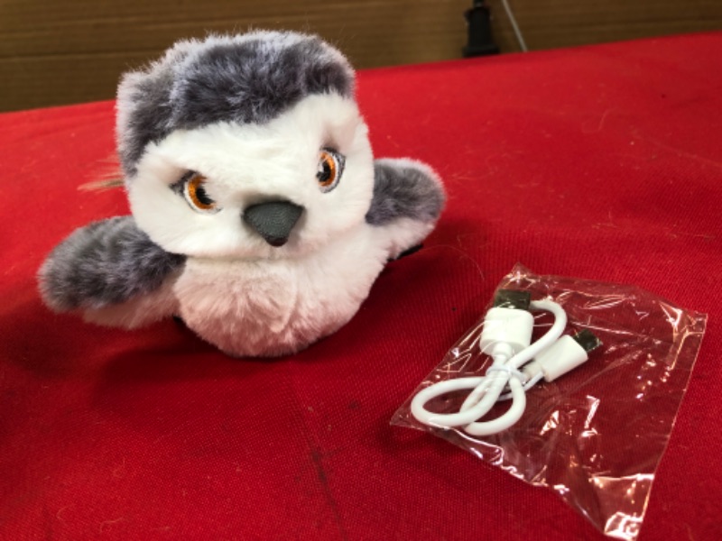 Photo 1 of Cat Toy  small