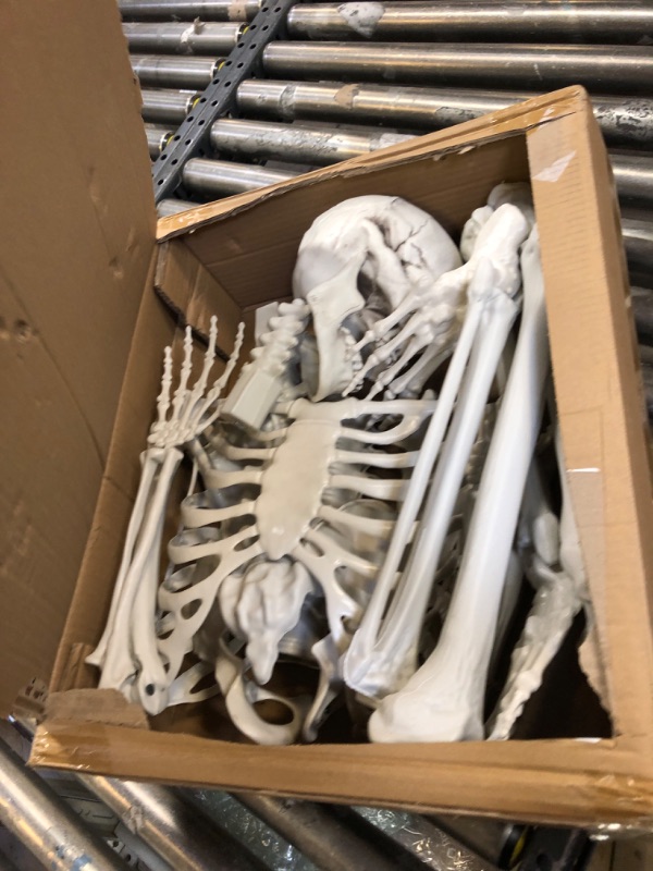 Photo 3 of 5.4ft/165cm Halloween Skeleton, Halloween Plastic Human Realistic Skeletons Life Size Full Body Bones with Movable Joints for Halloween Props Spooky Scene Party Decoration 5.4ft Halloween Skeleton