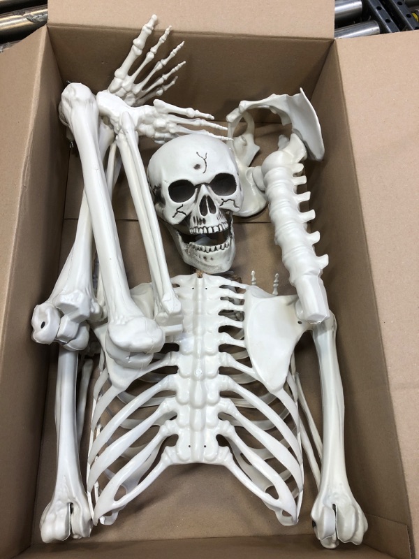 Photo 2 of 5.4ft/165cm Halloween Skeleton, Halloween Plastic Human Realistic Skeletons Life Size Full Body Bones with Movable Joints for Halloween Props Spooky Scene Party Decoration 5.4ft Halloween Skeleton