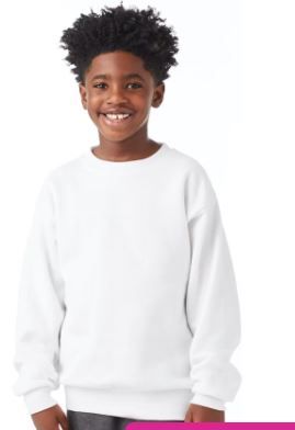 Photo 1 of [Size YM] Hanes Sweatshirt- White