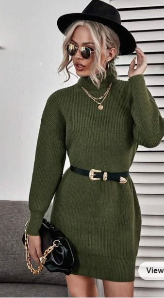 Photo 1 of [Size M] Women's Long Sleeve Turtle Neck Dress- Olive Green