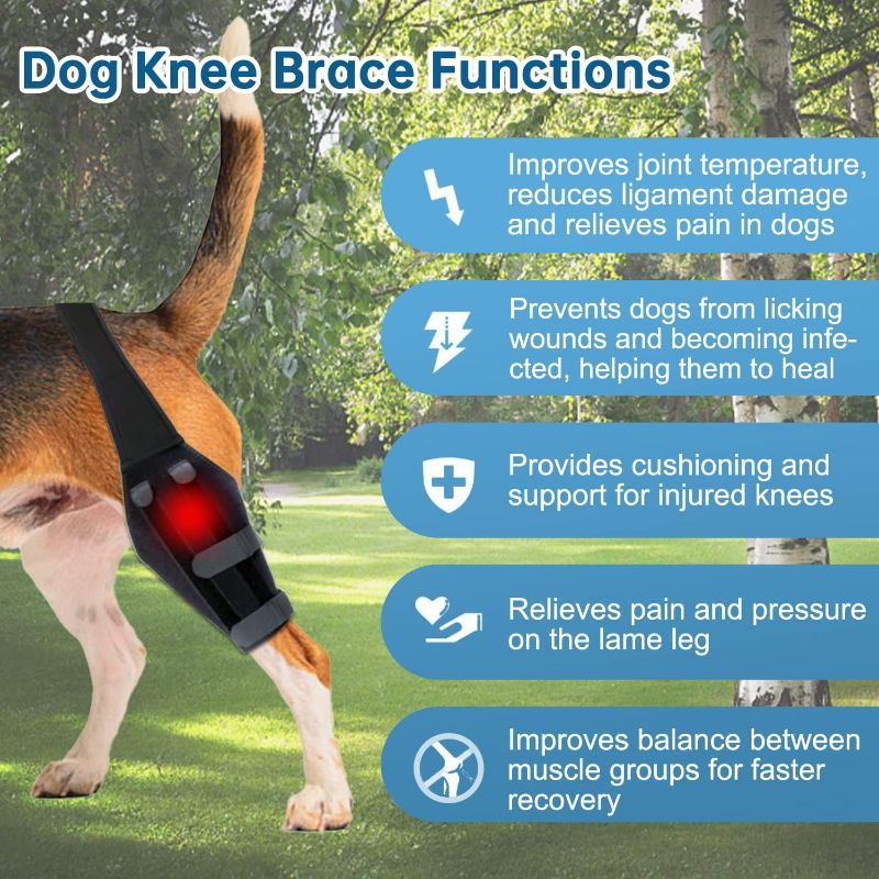 Photo 2 of [Left Side] Foclassic Dog Knee Support - Dog Rear Leg Support with Cruciate Ligament Injury, Adjustable Knee Brace with Spring, Dog Rear Leg Bracer for Knee Cap Dislocation, Leg Recovery, Joint Pain