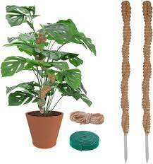 Photo 1 of 2 Pack 25'' Moss Coir Poles for Plants Monstera, Bendable for Moss Coir Pole Plant Lover Gifts, Tall Coco Coir Plant Support for Climbing Plants
